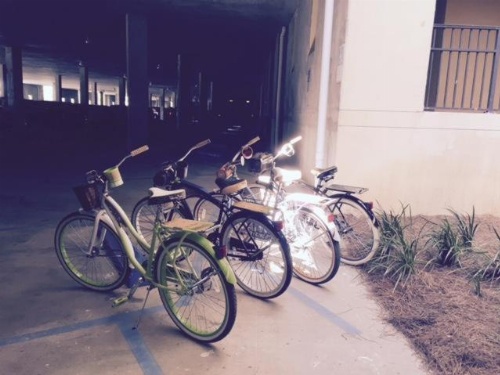 517 Holiday Isle image 4